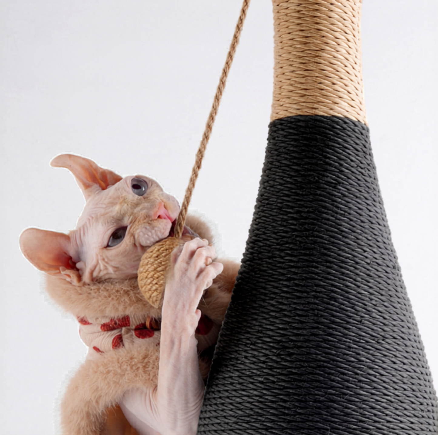 Wine Bottle Cat Scratching Post with Rotating Ball-Track Base