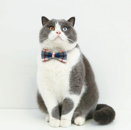 Pet Adjustable Bow/Tie Collar with Plaid Pattern