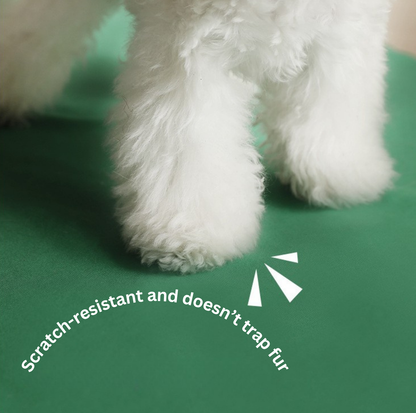 Lightweight Ventilated Pet Tent Bed