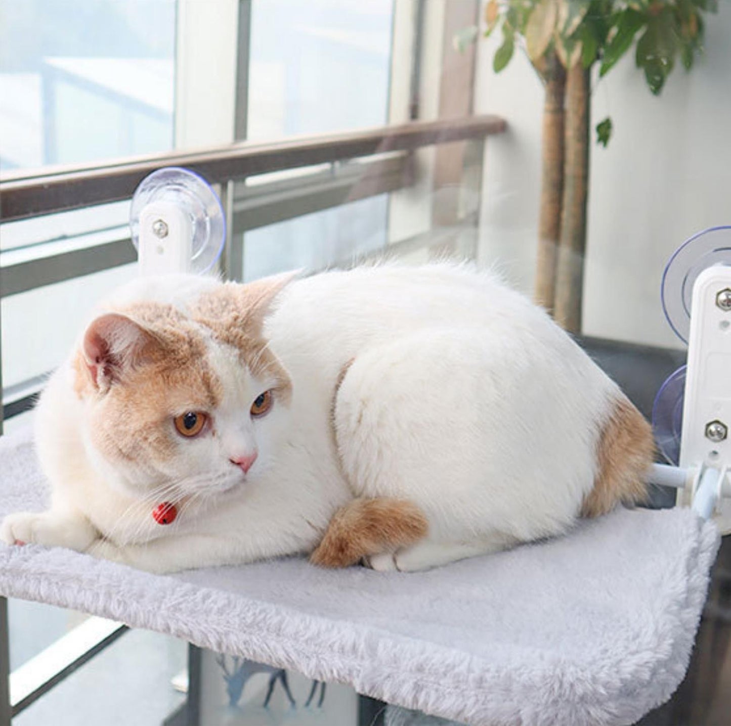 Foldable Cat Window Hammock with Strong Suction Cups