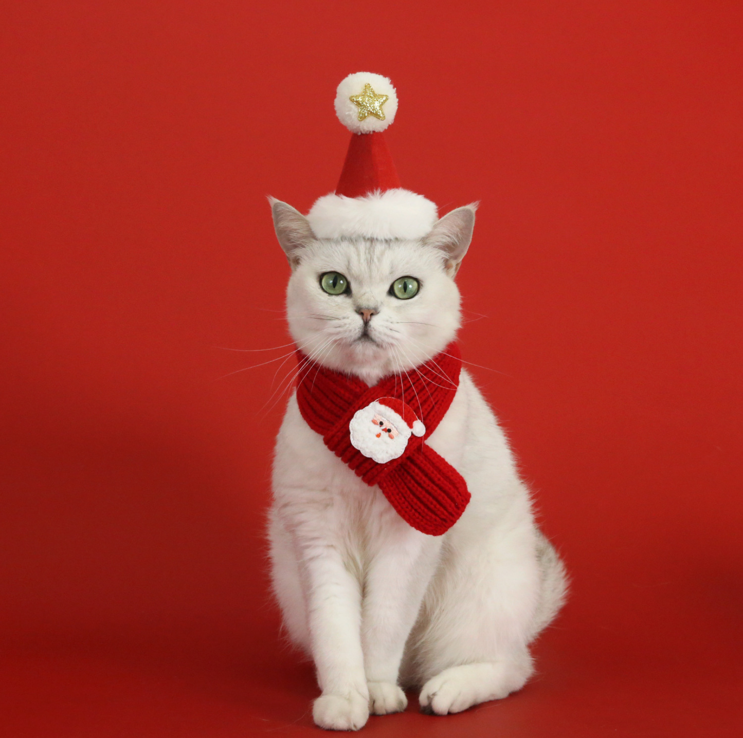 Christmas Plush Pet Scarf & Hat – Lightweight Festive Accessories