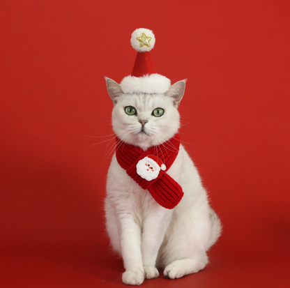 Christmas Plush Pet Scarf & Hat – Lightweight Festive Accessories