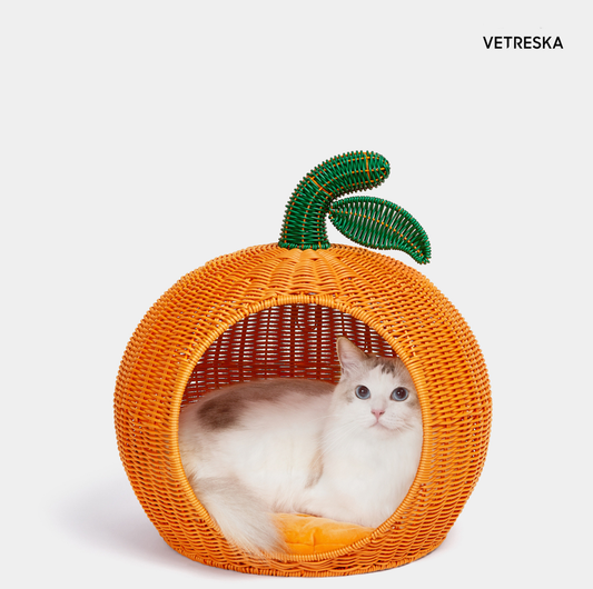 Vetreska Tangerine Rattan Pet Bed