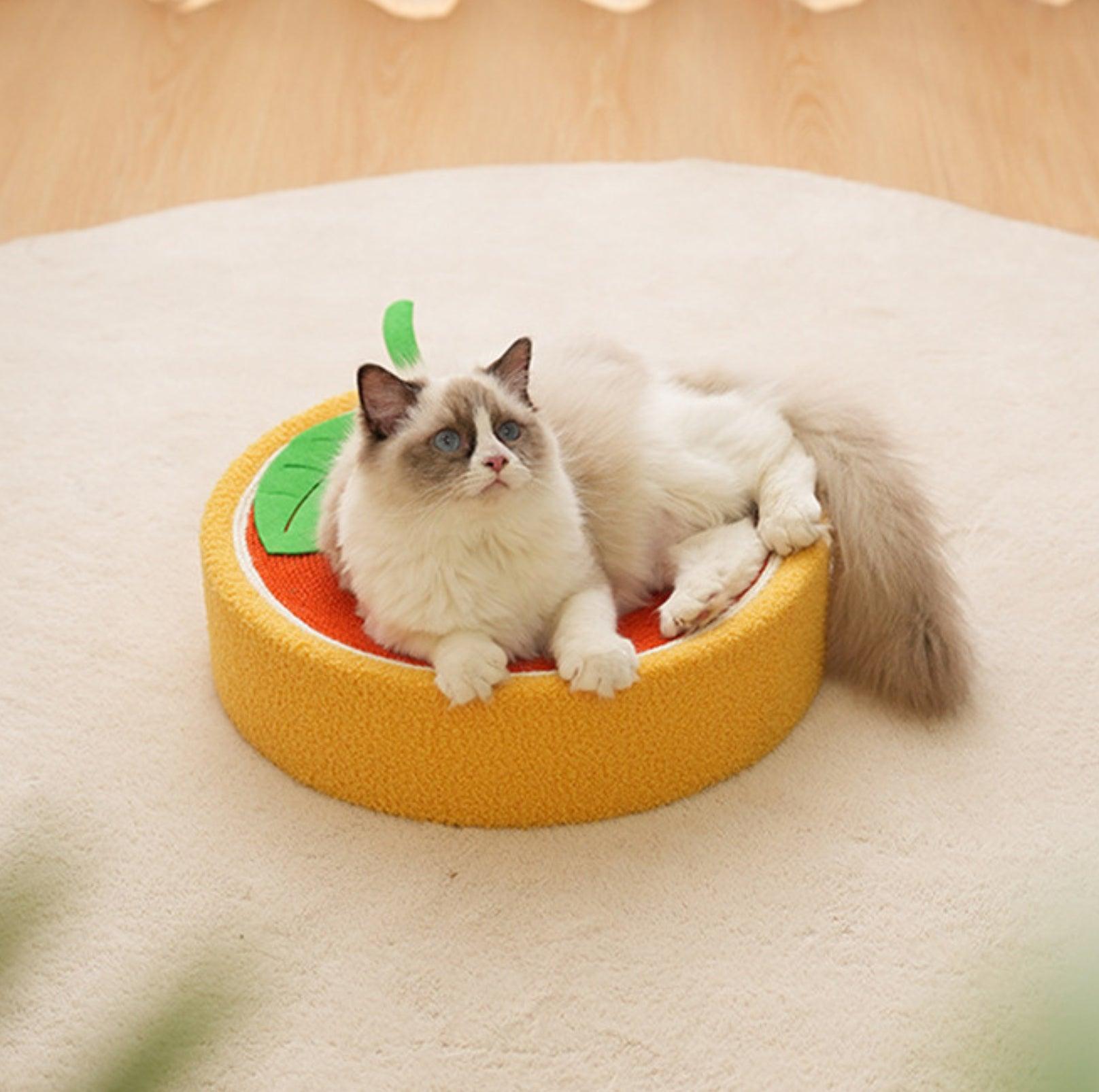 Fruit Design Sisal Cat Scratcher PawPawUp