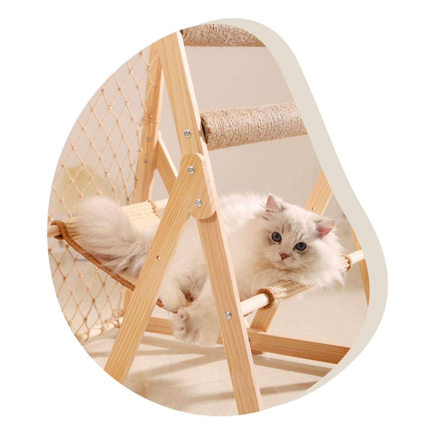 Multi-Functional Cat Playground with Wooden Ladder and Climbing Net