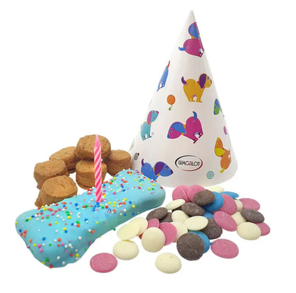 Wagalot Doggy Fun Food Birthday In A Box Dog Treat Blue