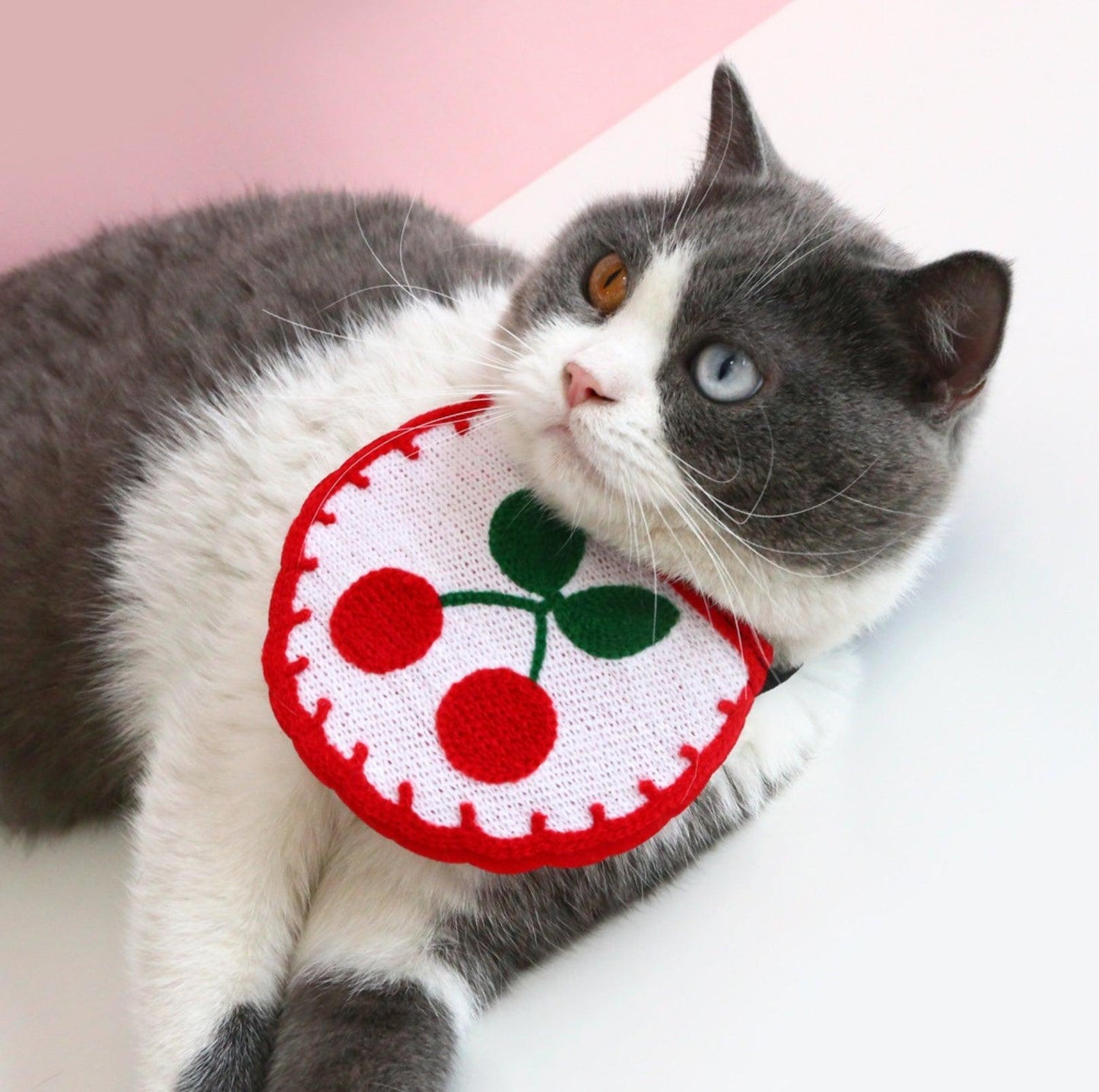 Plush Cartoon Design Pet Bib for Cats & Small Dogs