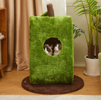 Cmisstree Avocado Multifunctional Cat Scratching Post and Bed