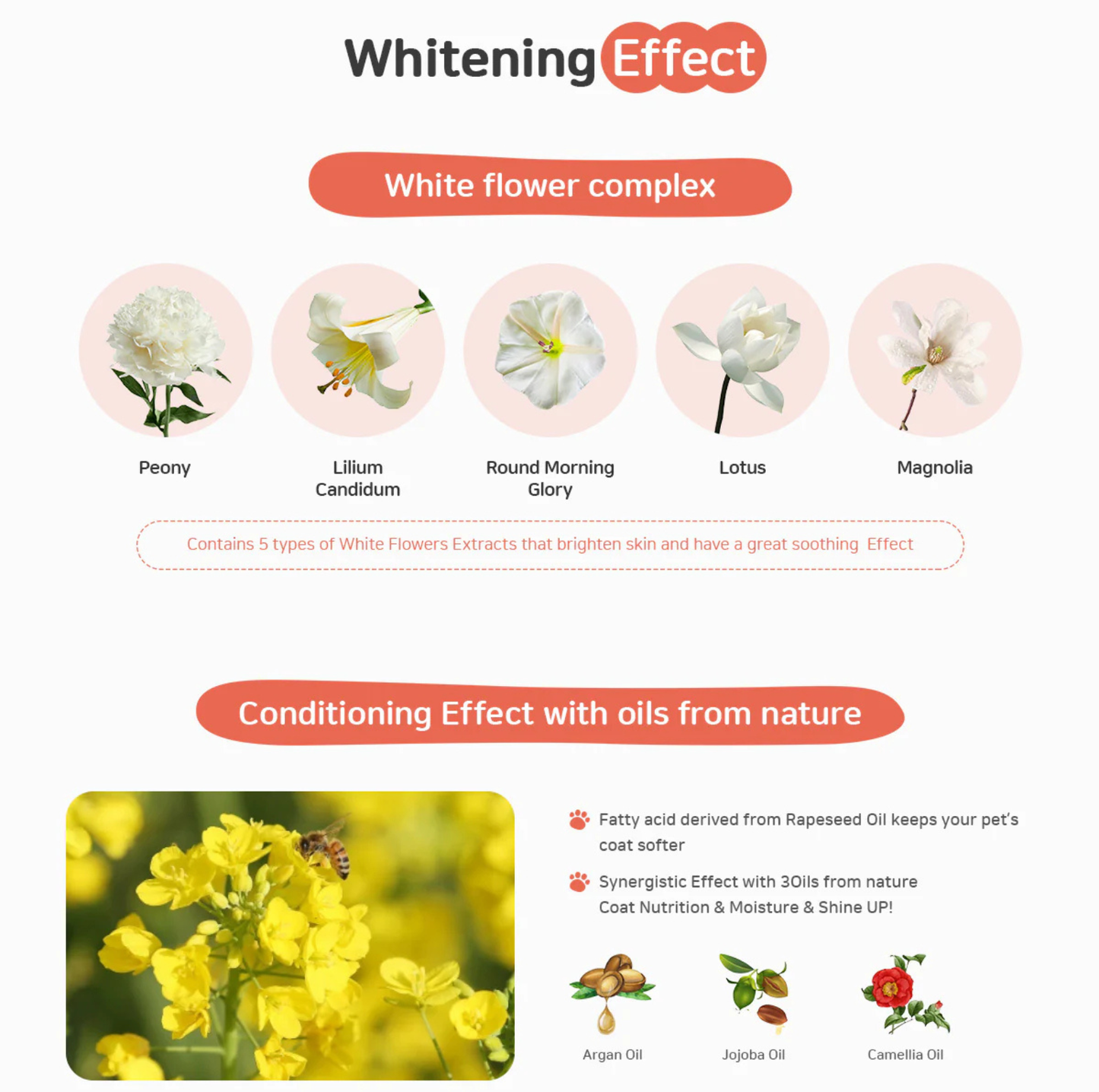 INOOM OUR EARTH Plant-Based Pet Conditioner Travel Pack - Vegan, Cruelty-Free