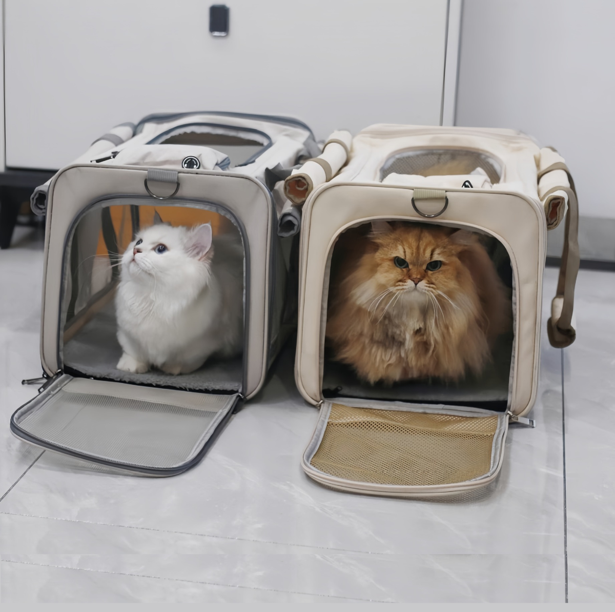 Large Foldable Mesh Pet Carrier with Roll-Up Covers - Up to 10kg