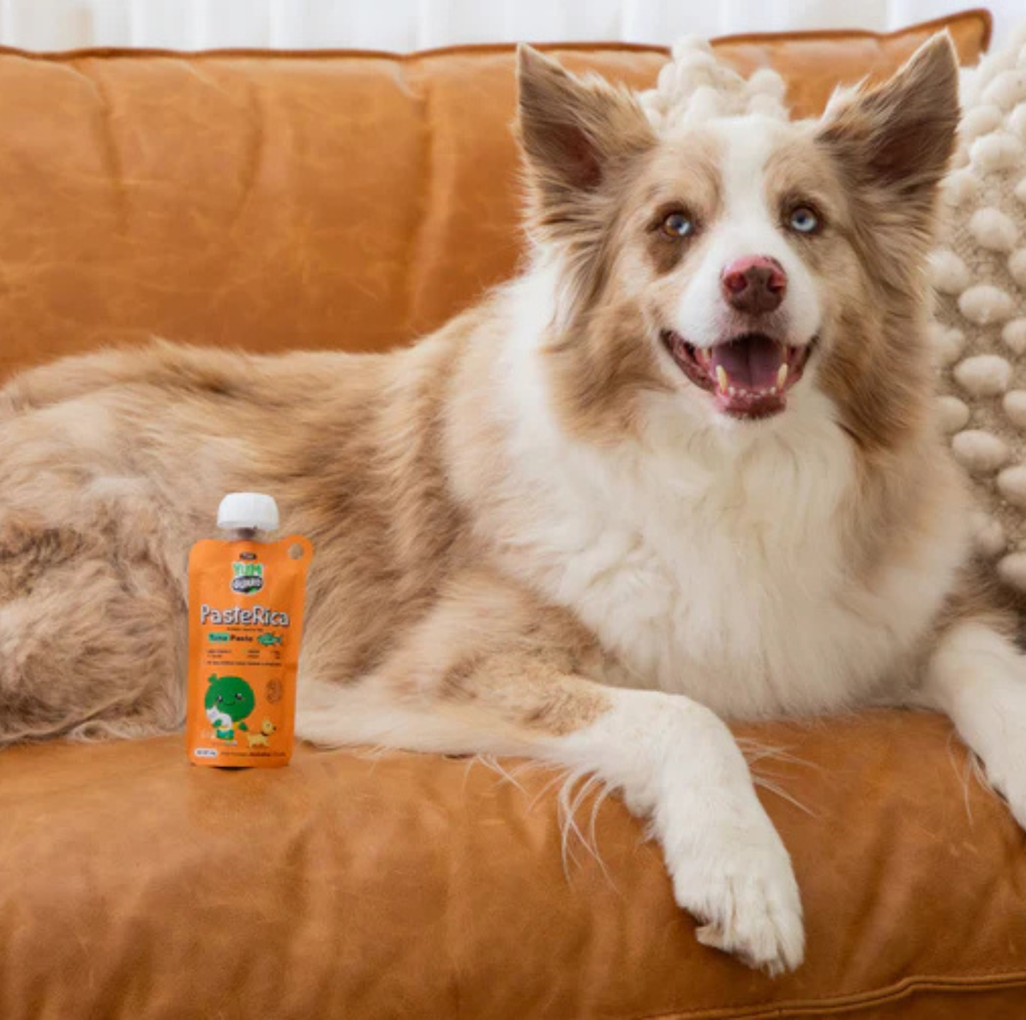 Yumguard Paste Rica Tuna for Dog & Cat
