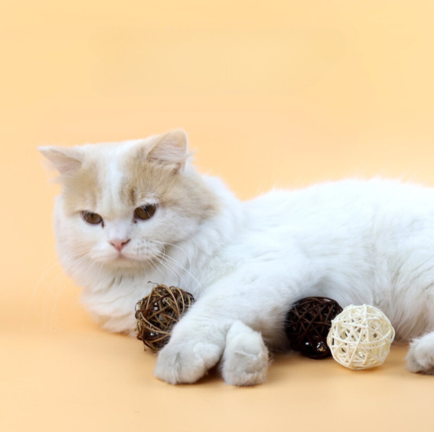 Handmade Rattan Cat Toys Ball Set - with Built-in Bells (9pcs/set)