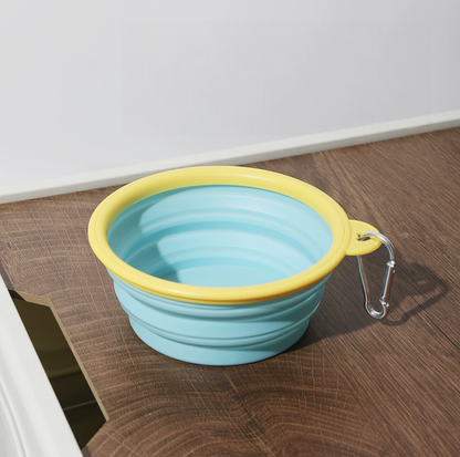 Cartoon Collapsible Travel Pet Bowl with Carabiner