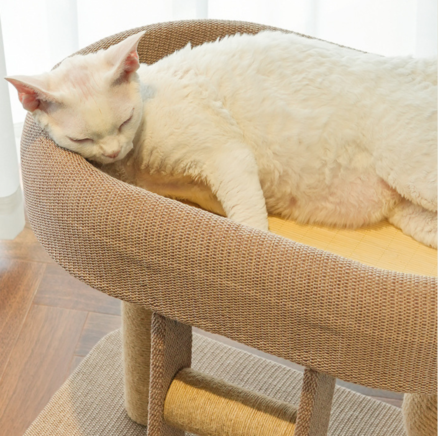 Small Ladder Cat Climber with Oval Resting Nest
