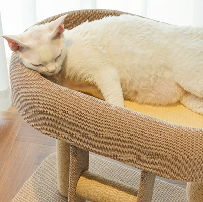 Small Ladder Cat Climber with Oval Resting Nest