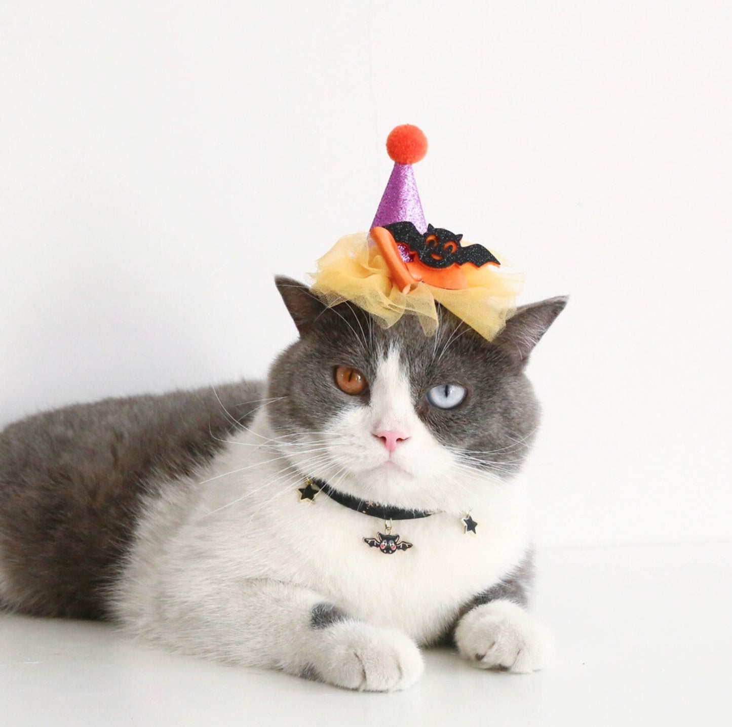 Pet Halloween Paw-ty Hat - Ultimate Party Gear for Pets