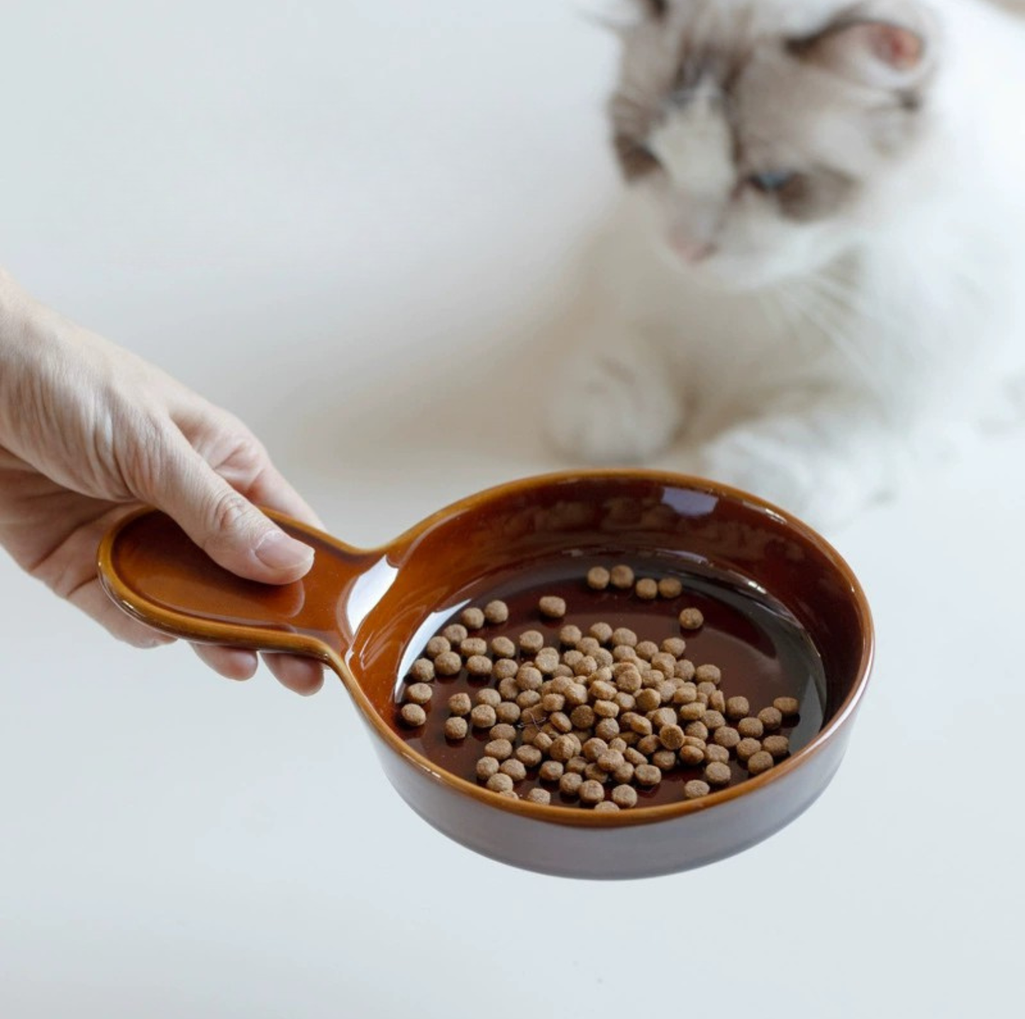 Pan-Style Ceramic Pet Feeding Bowl with Handle