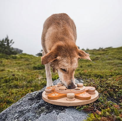 Interactive Wooden Dog Puzzle Toy – Flower Shape Slow Feeder & Treat Game