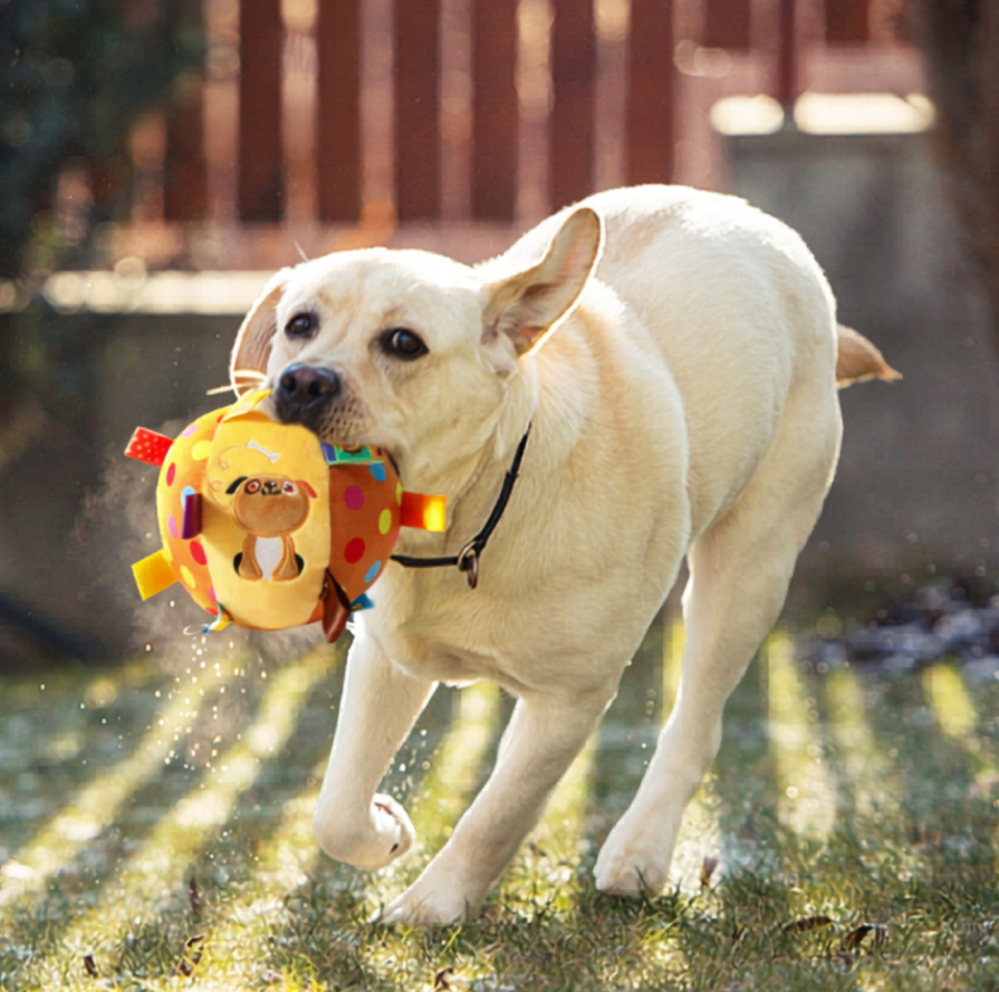 Interactive Squeaky Plush Ball Dog Toy