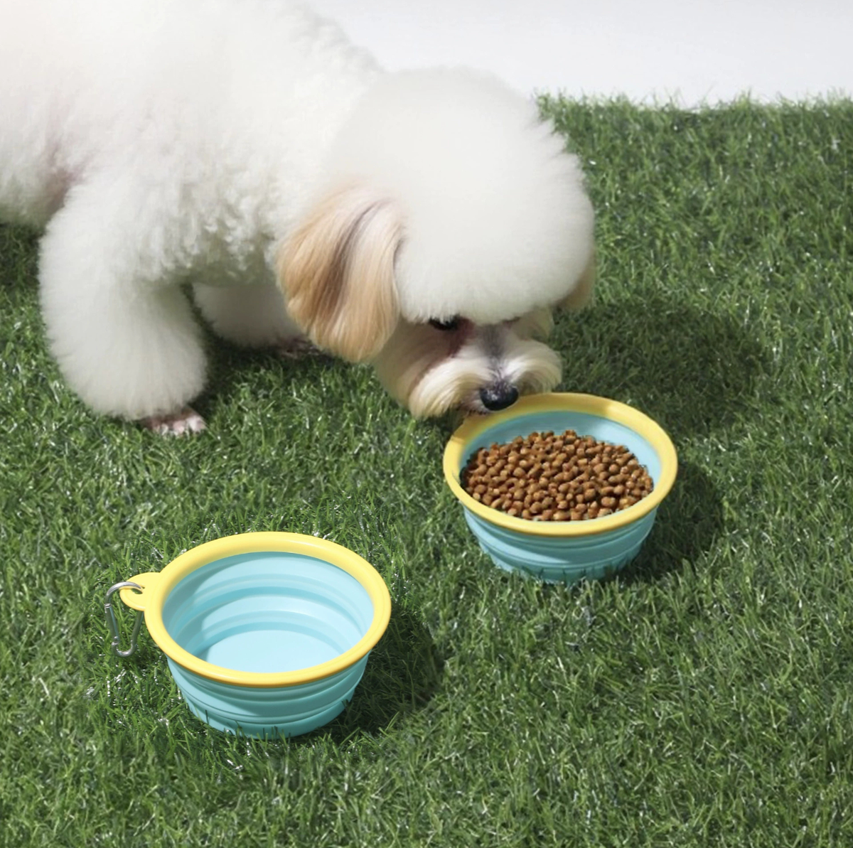 Cartoon Collapsible Travel Pet Bowl with Carabiner