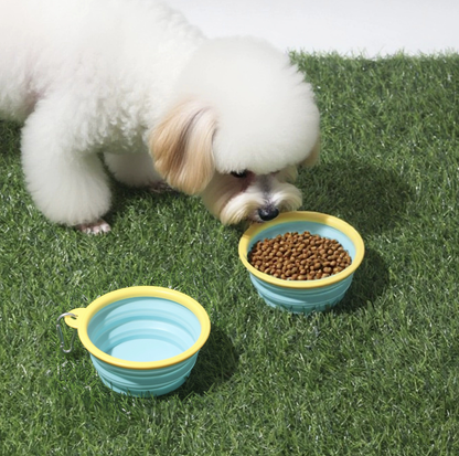 Cartoon Collapsible Travel Pet Bowl with Carabiner