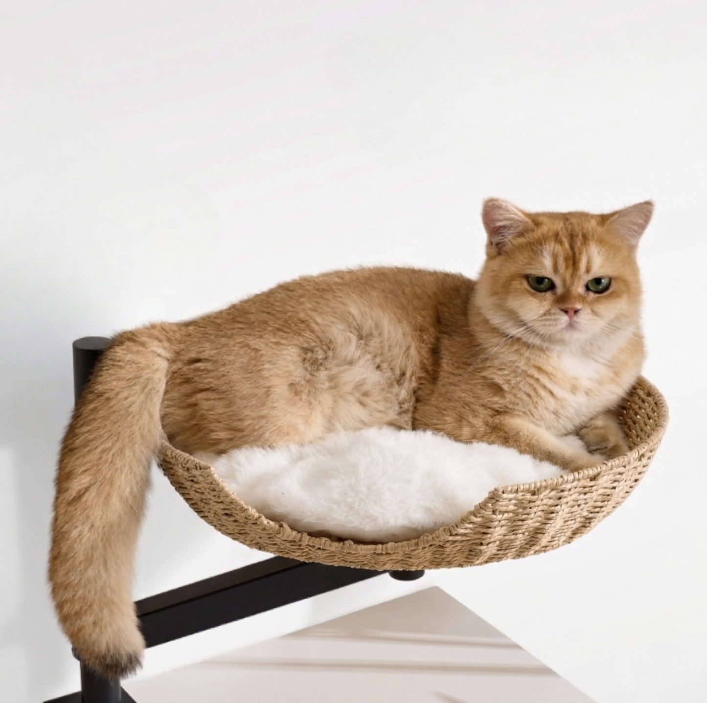 Desk-Mounted Rattan Cat Bed – Space-Saving Elevated Perch for Cats up to 10kg