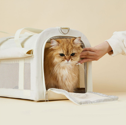 Oxford Dome Pet Travel Carrier with Side Opening for Cats & Small Dogs