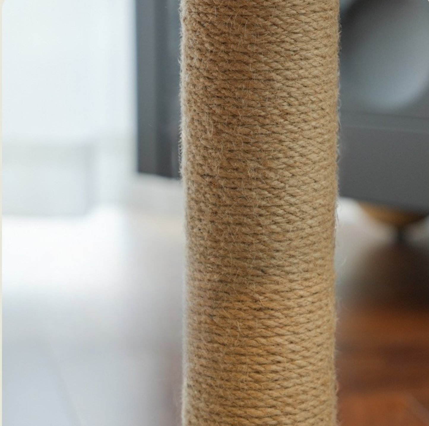 Small Ladder Cat Climber with Oval Resting Nest