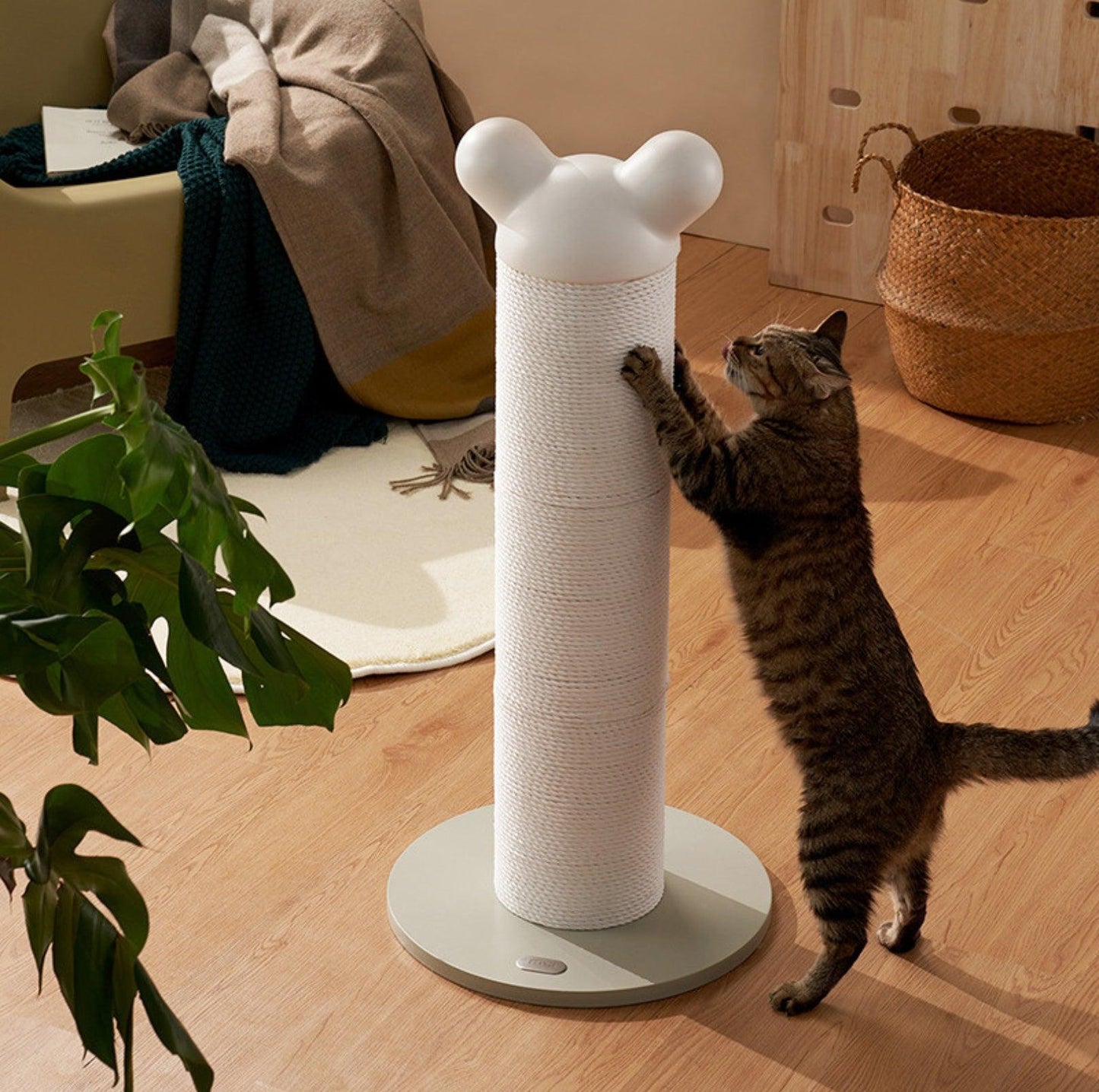 Makesure Nino Cat Scratching Post | Cat Tree