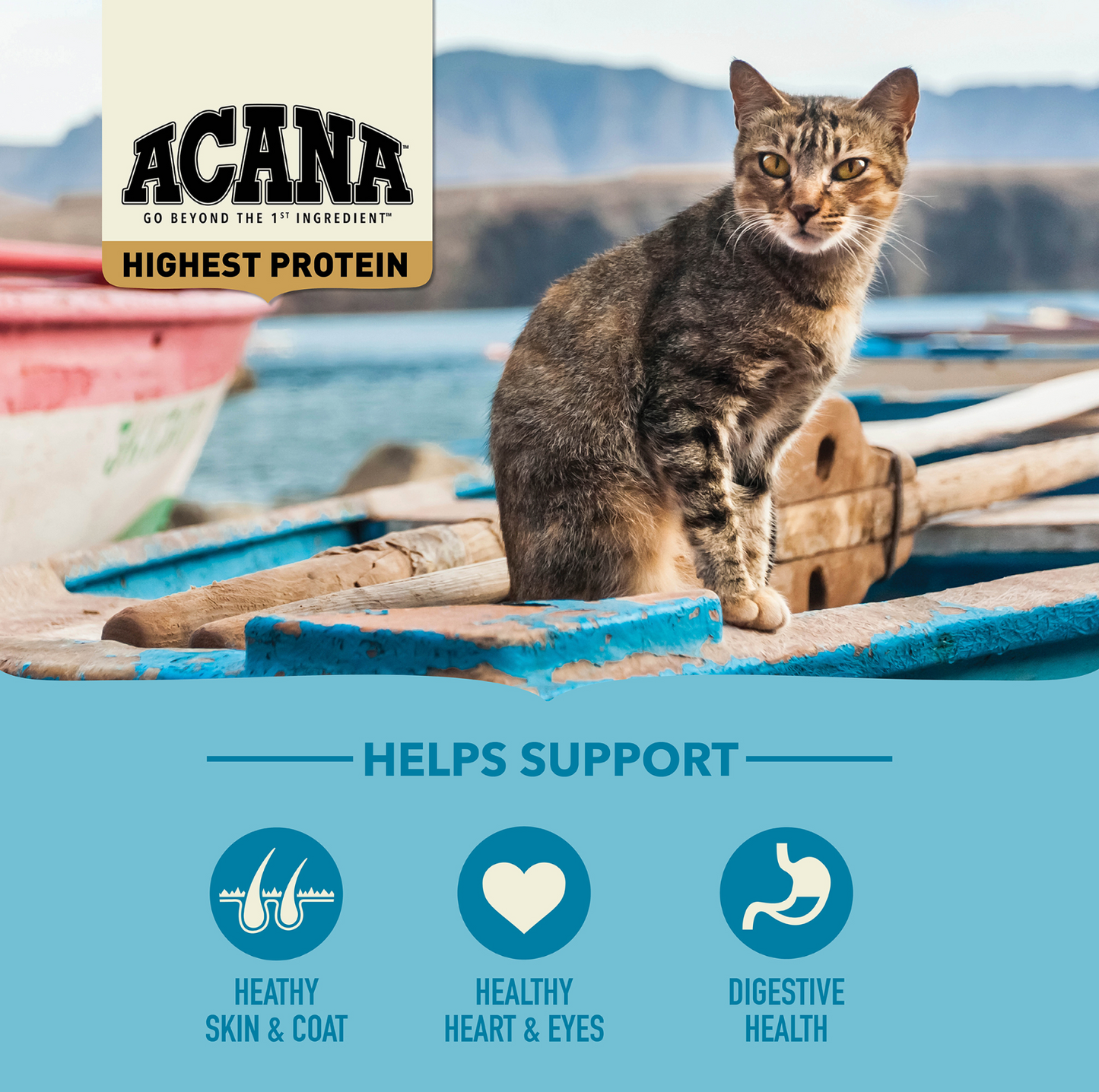 Acana Wild Atlantic Cat Dry Food 4.5kg