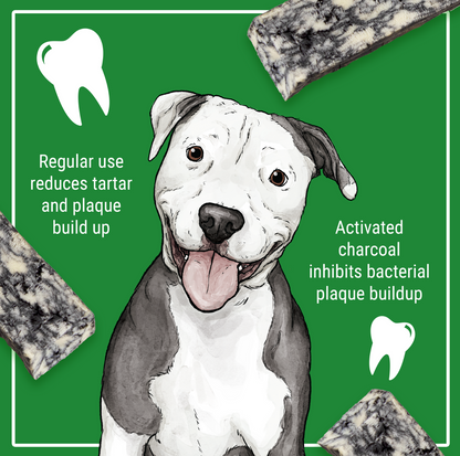 Himalayan Dog Chew Cheese Char with Activated Charcoal XLarge - With Hard Cheese