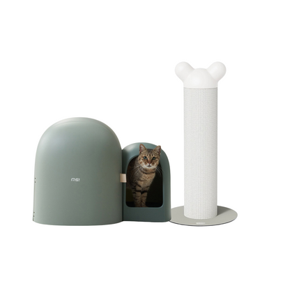 Makesure Cat Comfort & Play Bundle - Stylish Home Integration