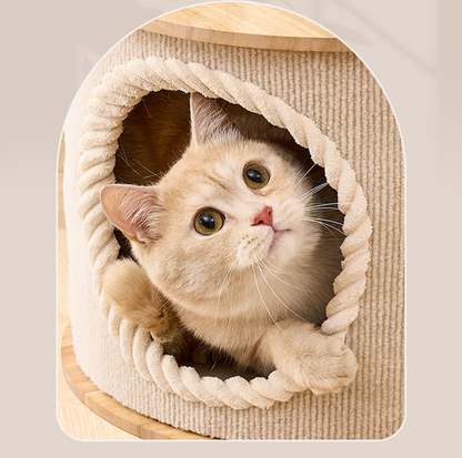 Solid Wood Multi-Level Cat Tree with Condo