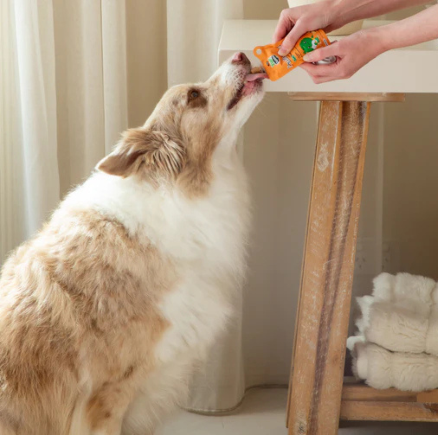 Yumguard Paste Rica Tuna for Dog & Cat