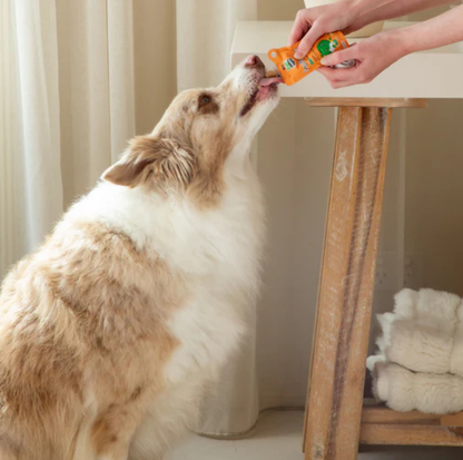 Yumguard Paste Rica Tuna for Dog & Cat