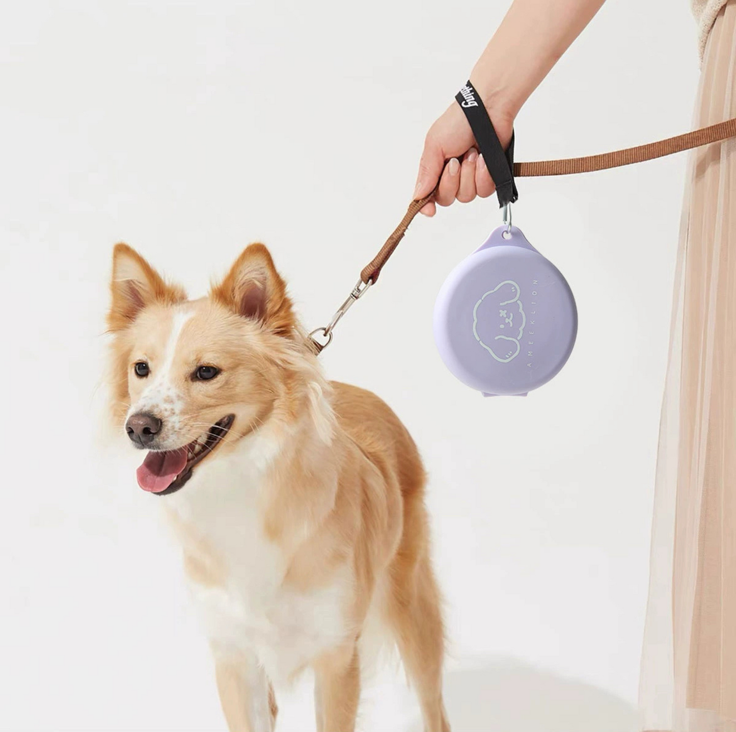 Silicone Foldable Double Pet Feeding Bowl - Portable & Travel-Friendly