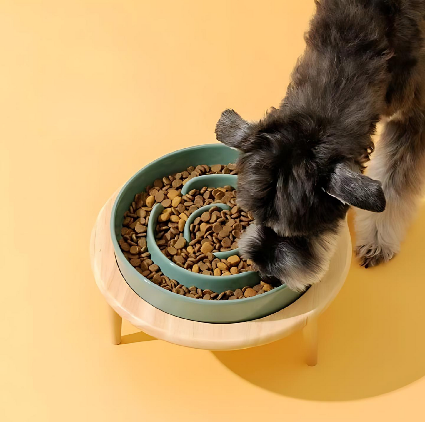 PETTOM Cat Slow Feeder Bowl Ceramic Slow Feeder Cat Dog Bowls with Non Slip Mat Higher