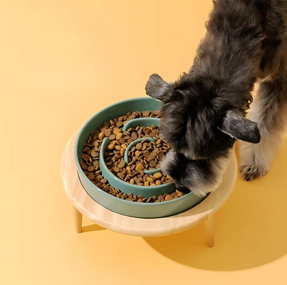 Ceramic Slow Feeder Pet Bowl for Dogs and Cats