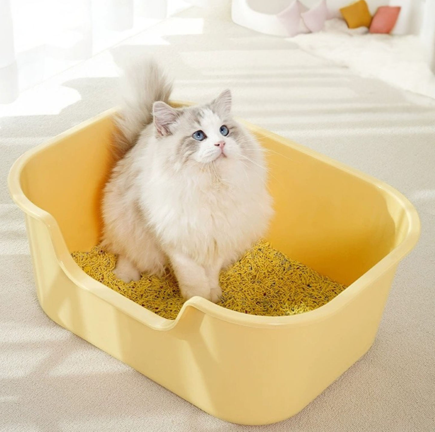 Compact Open Cat Litter Tray with High Sides & Low Entry