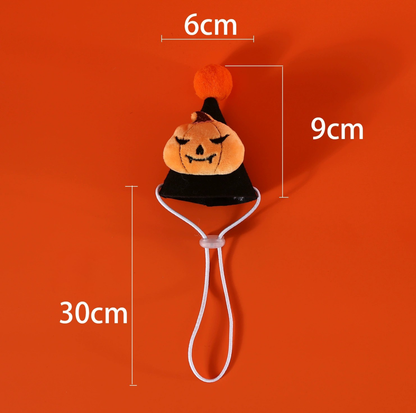 Halloween Pumpkin & Spider Hat for Cats and Dogs