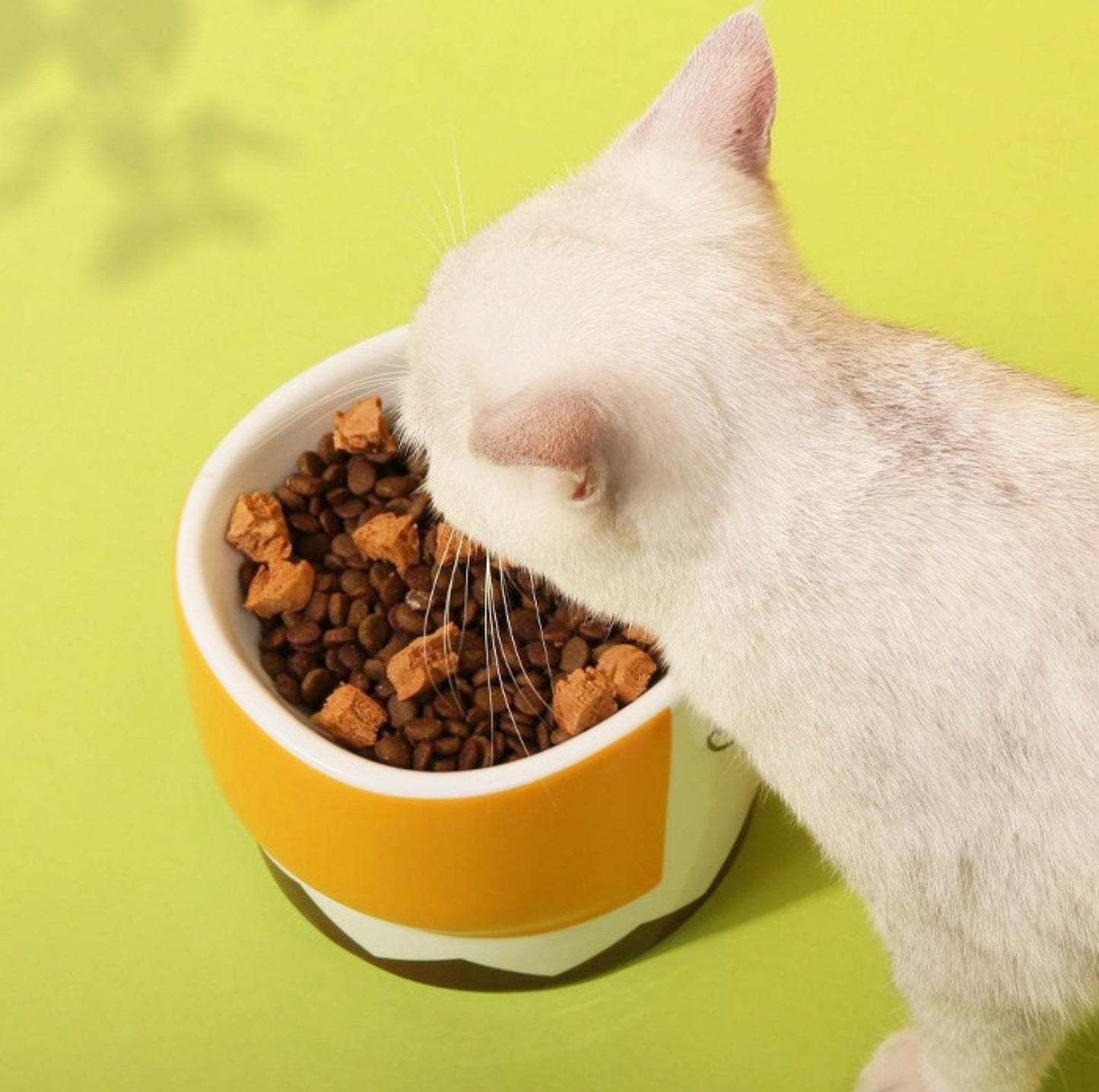 Ceramic Eagle Mug & Pet Bowl Set for You and Your Furry Friend - {{product.type}} - PawPawUp