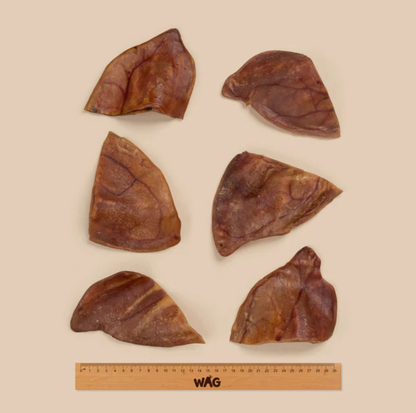 WAG Large Pig Ears 5 Pack Dog Treat