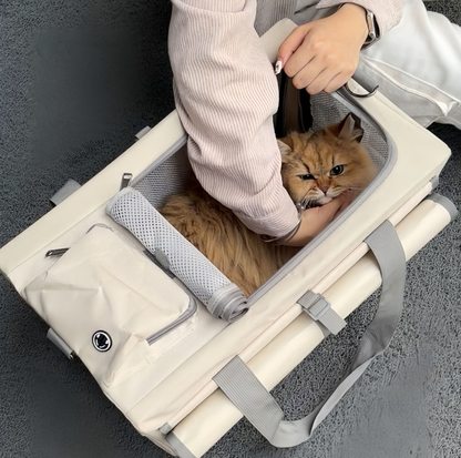 Oxford Boxy Pet Travel Tote Carrier for Cats & Small Dogs