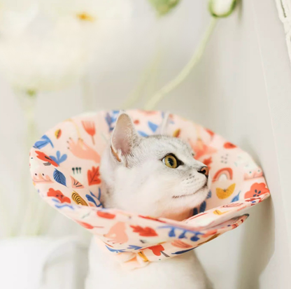 Soft Multi-Use E-Collar for Cats & Small Dogs