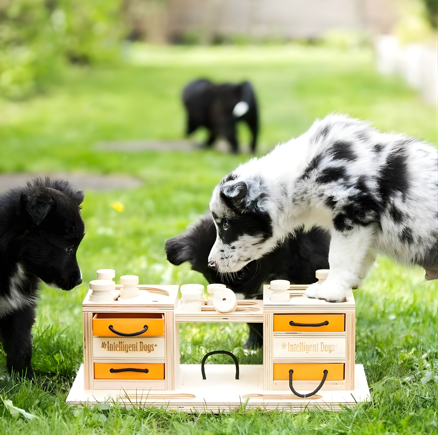 Interactive Wooden Dog Puzzle Toy – Two Towers Multi-Level Treat Game (Advanced Enrichment)