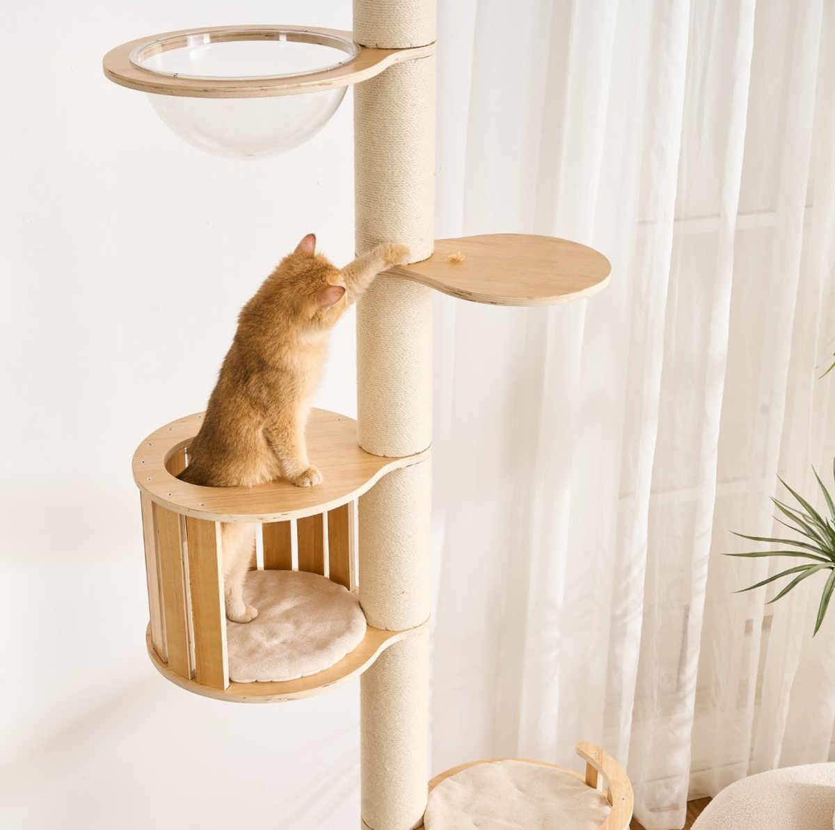 Adjustable Ceiling-Mounted Wooden Cat Tree - V02 (250-300cm)