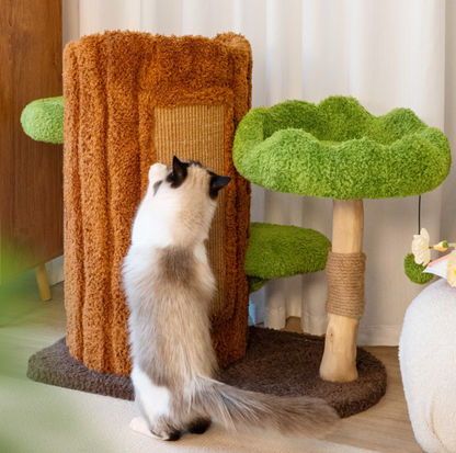 Cmisstree Tree Hollow Solid Wood Cat Tree