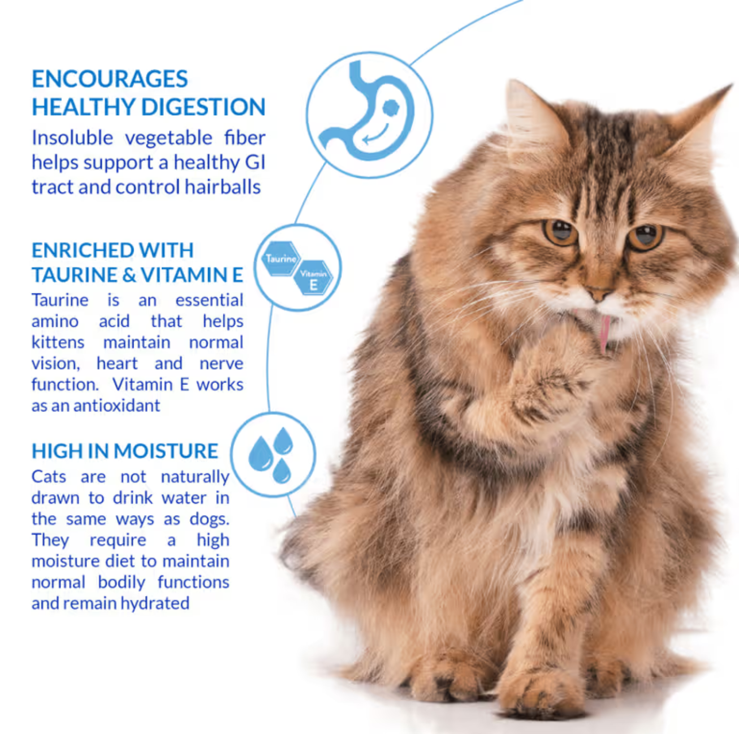 INABA Churu Hairball Control Tuna Recipe Cat Treats – 4 x 14g