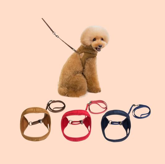 V-Shaped Dog Vest Harness with Leash