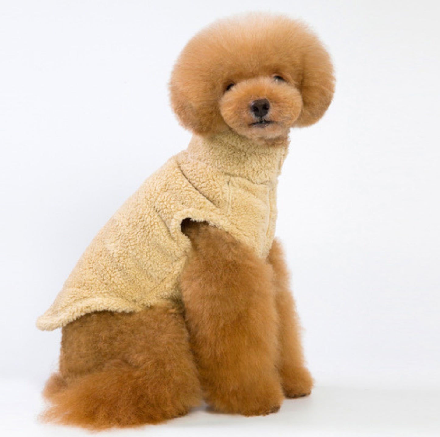 High-Collar Plush Dog Sweater